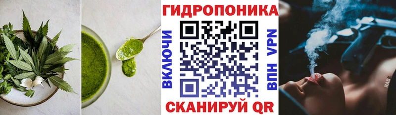 Cannafood конопля  Купить закладки  Красноярск 