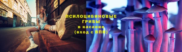 крисы Алексеевка