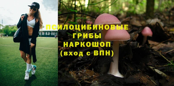jwh Алзамай