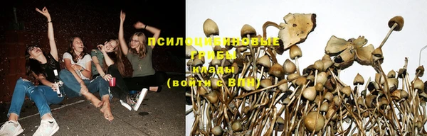 крисы Алексеевка