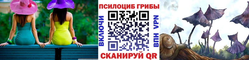 Галлюциногенные грибы прущие грибы  Купить где  Красноярск 
